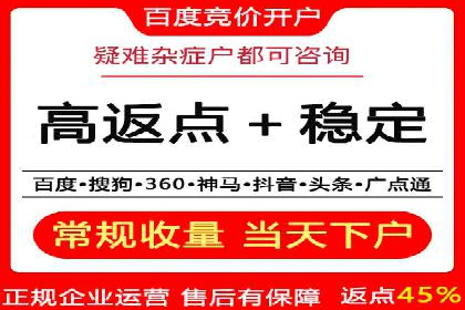 SEM主管实战案例：广告投放策略优化